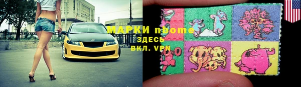 дурь Няндома