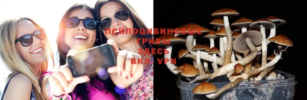ПСИЛОЦИБИНОВЫЕ ГРИБЫ Нязепетровск