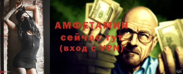 дурь Няндома