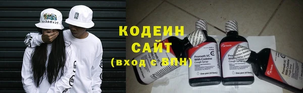 дурь Няндома