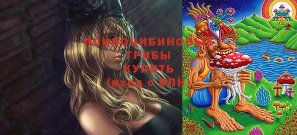 ПСИЛОЦИБИНОВЫЕ ГРИБЫ Нязепетровск