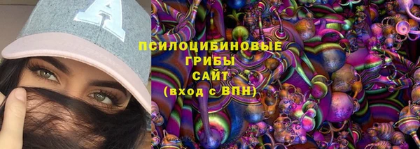 ПСИЛОЦИБИНОВЫЕ ГРИБЫ Нязепетровск