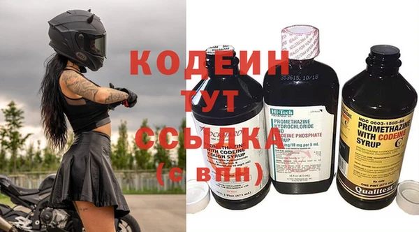 дурь Няндома