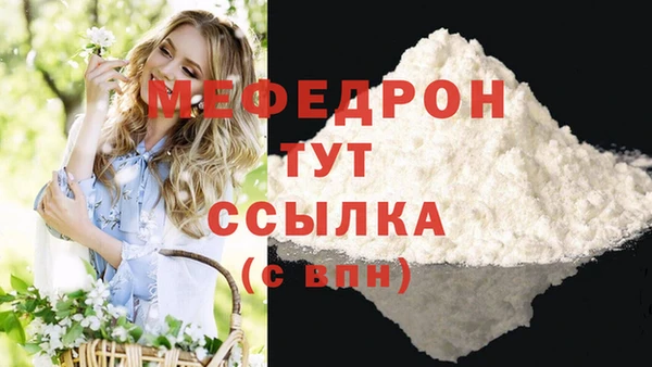 дурь Няндома