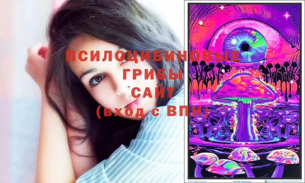 ПСИЛОЦИБИНОВЫЕ ГРИБЫ Нязепетровск