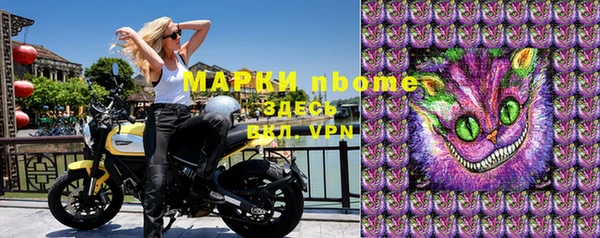 дурь Няндома