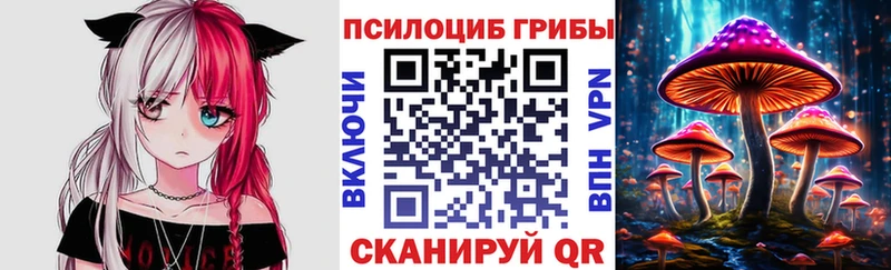 Галлюциногенные грибы Cubensis  Правдинск 