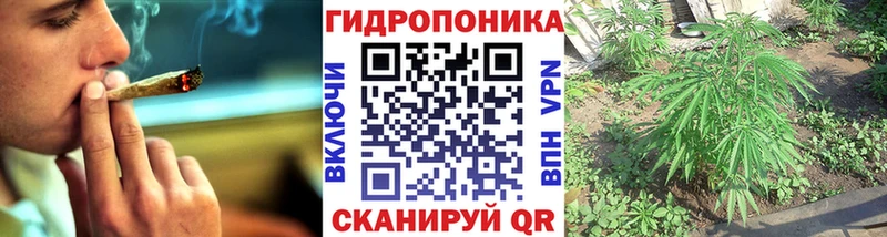 наркотики  Правдинск  МАРИХУАНА план 